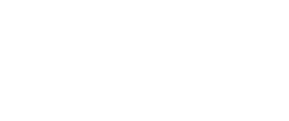 ZenPlus logo
