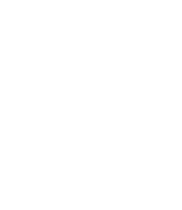 ZenPlus logo